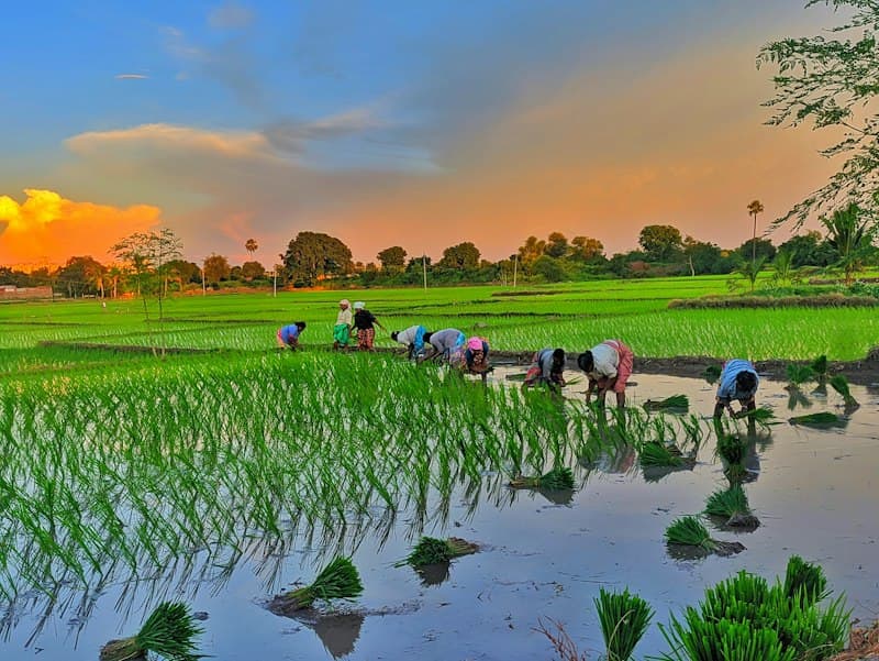 Sourcing