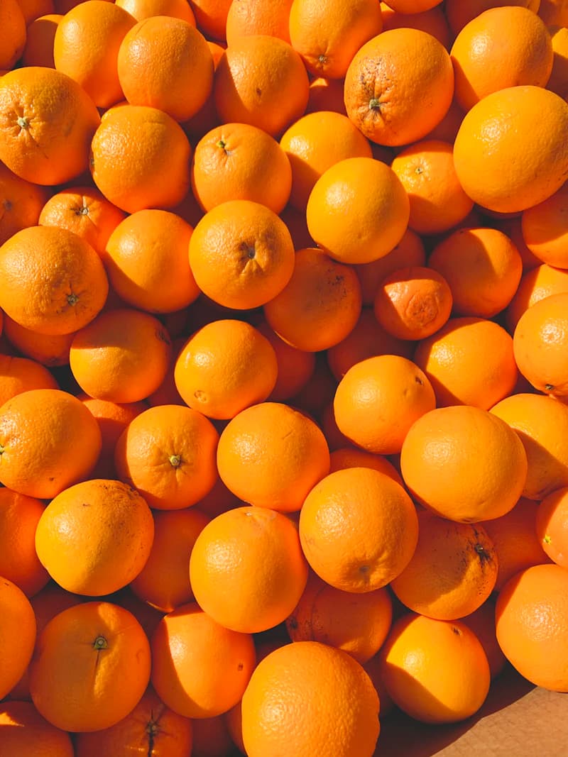 Fresh juicy Valencia and Navel oranges from Jordanian citrus groves
