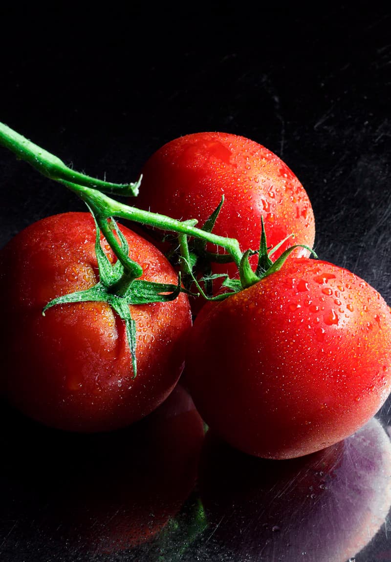 Fresh red ripe Jordanian tomatoes sorted for export