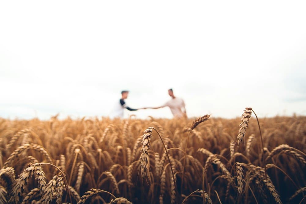 Agricultural sourcing in Jordan